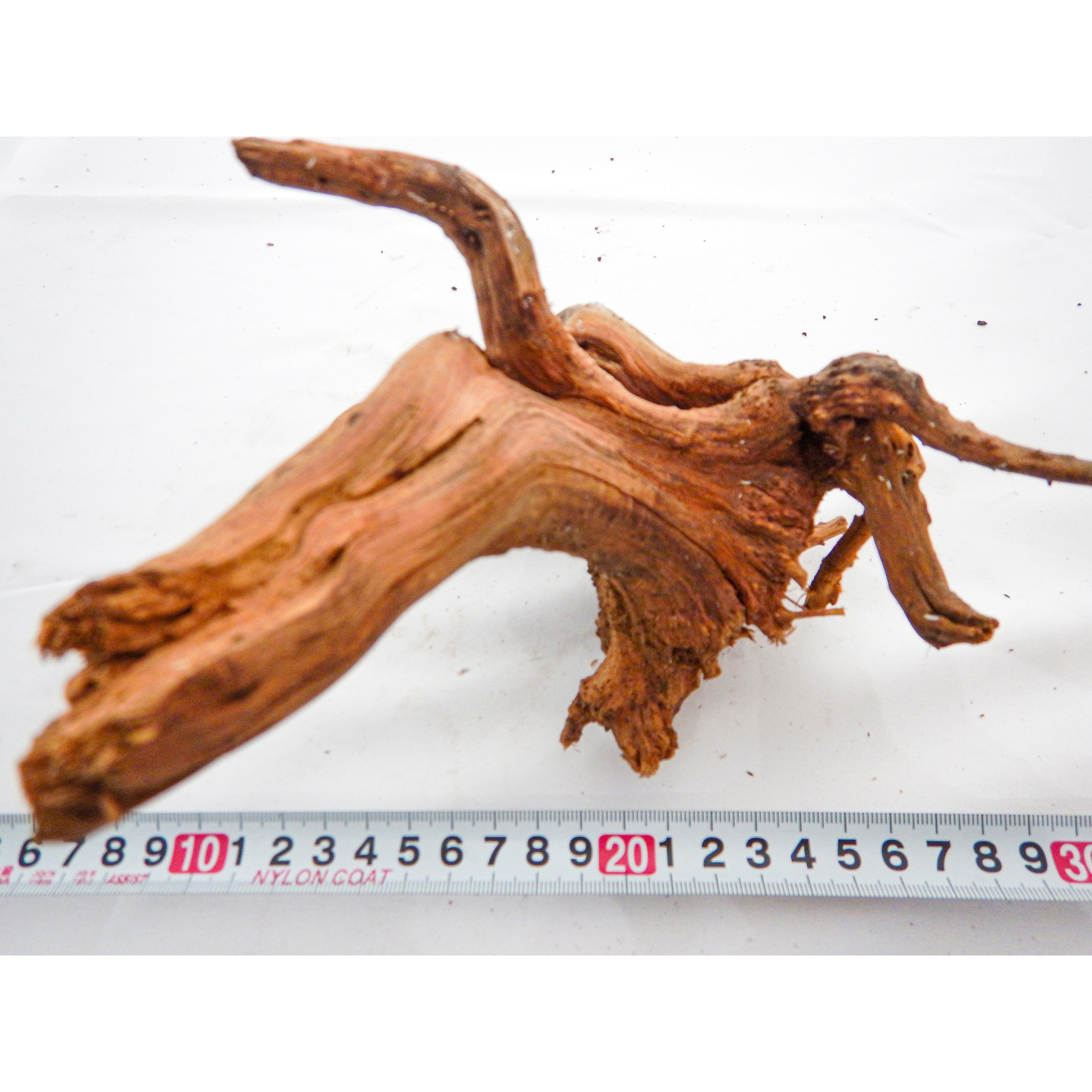 ブランチウッド大サイズ 19636-1 ブランチウッド やまと錦魚園 長さ30cmサイズL 1個(1本) 19636