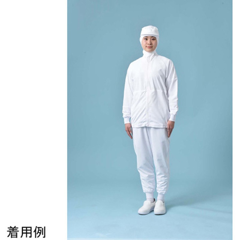 CG200 男女兼用パンツ ホワイト チェックガード LL 1枚 国立 【通販モノタロウ】