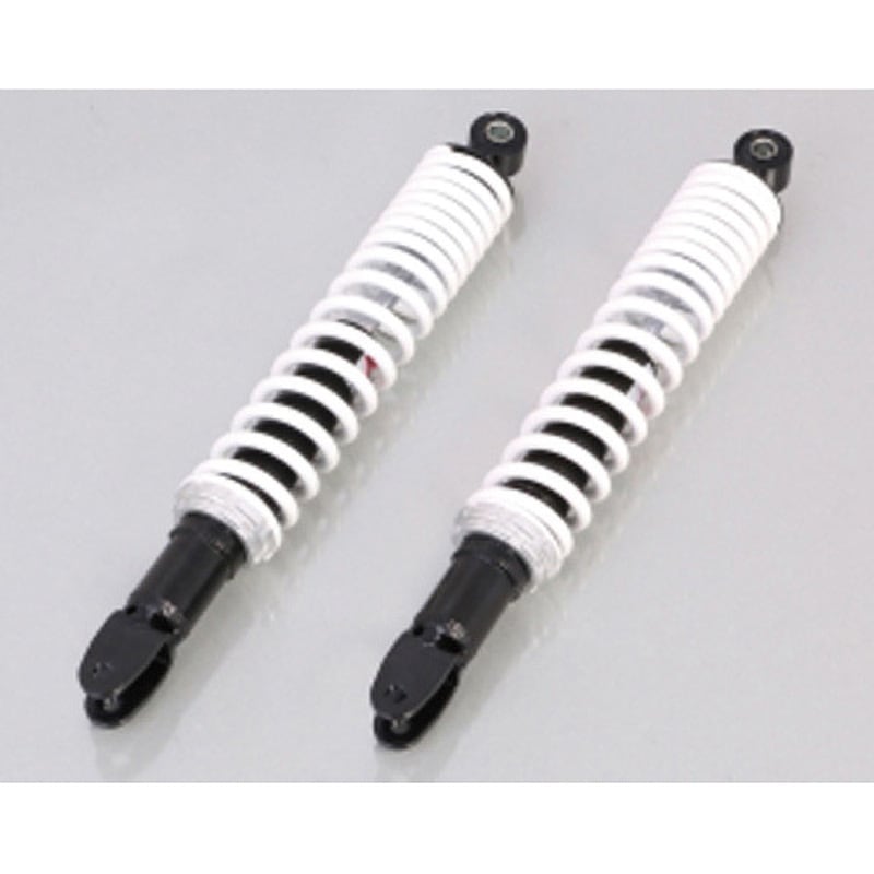 特大シャコガイ 70オーバー希少品 直接引き取り限定 特大シャコガイ 70