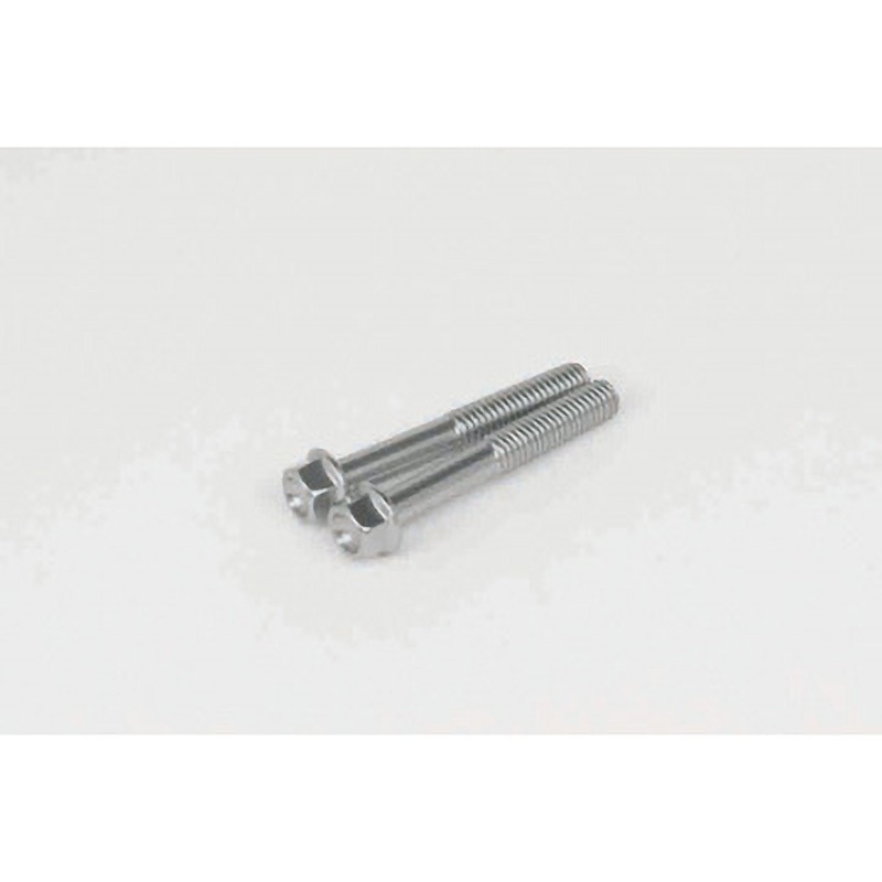 00-06-1070 ALTECH BOLT アルミフランジボルト 6×40 1セット TAKEGAWA