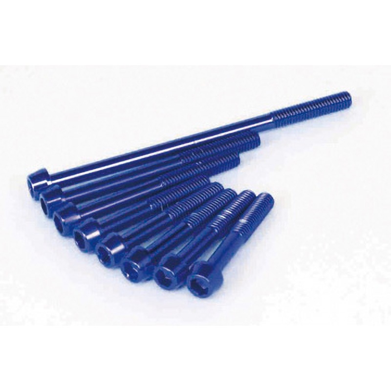 00-06-1123 ALTECH BOLT 12Vモンキー/JAZZ/MAGNA50 1セット TAKEGAWA