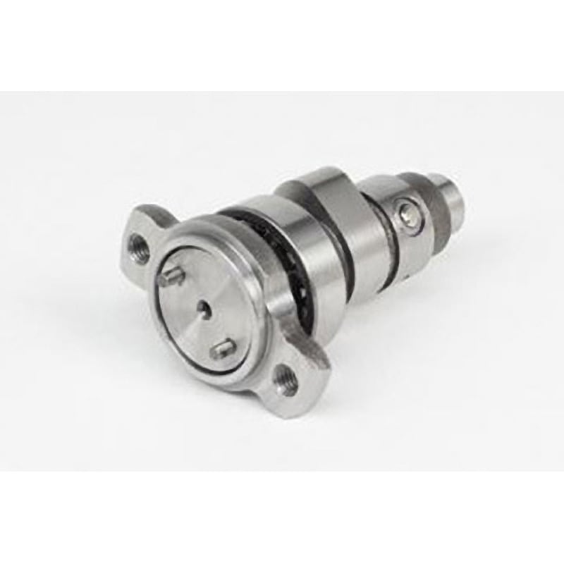 01-08-0065 スポーツカムシャフト N-10 1個 TAKEGAWA(武川) 【通販