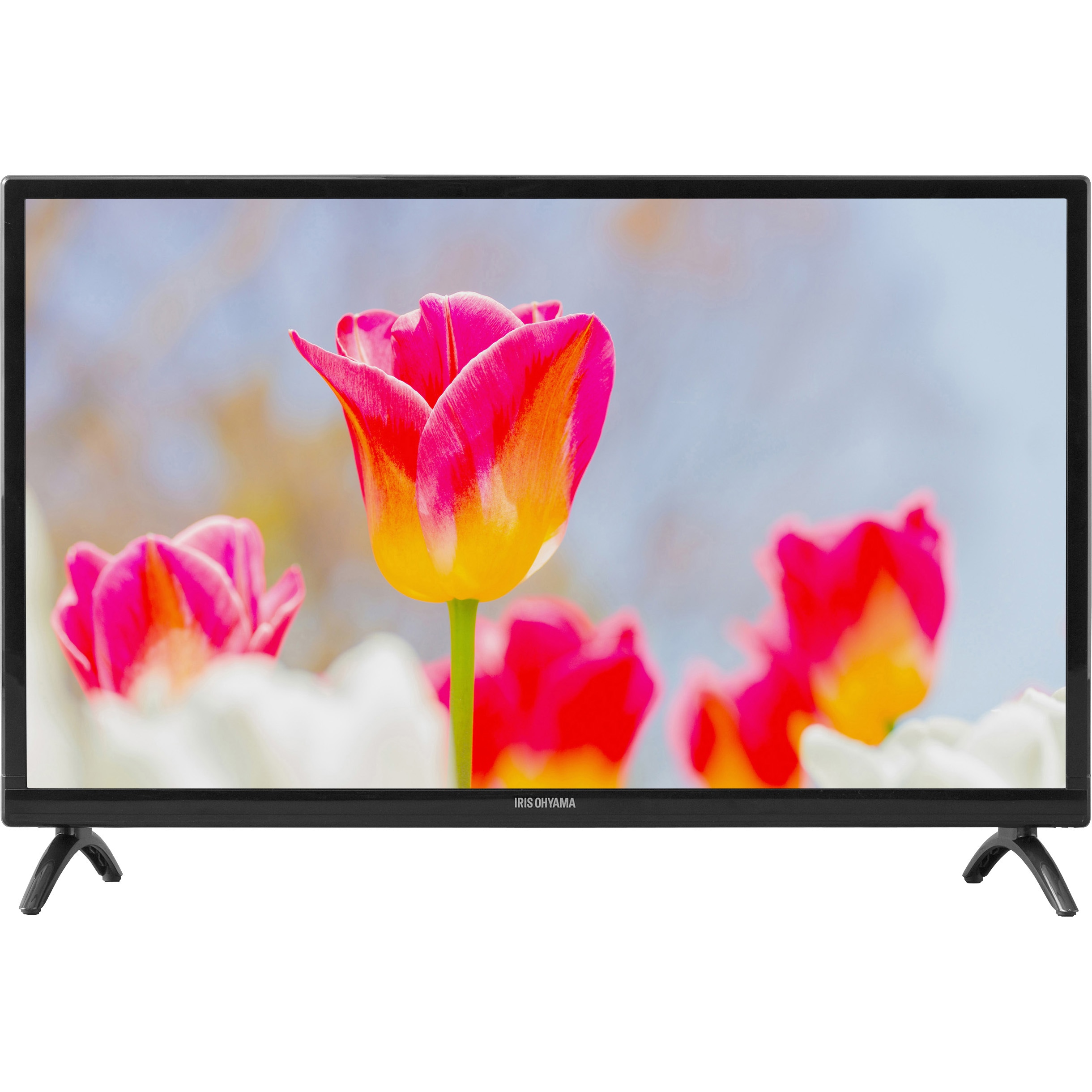 液晶テレビ LT-24B320 24V型 フルHD LT-24B320 ハイビジョン液晶テレビ 24V型 1台 アイリスオーヤマ 【通販