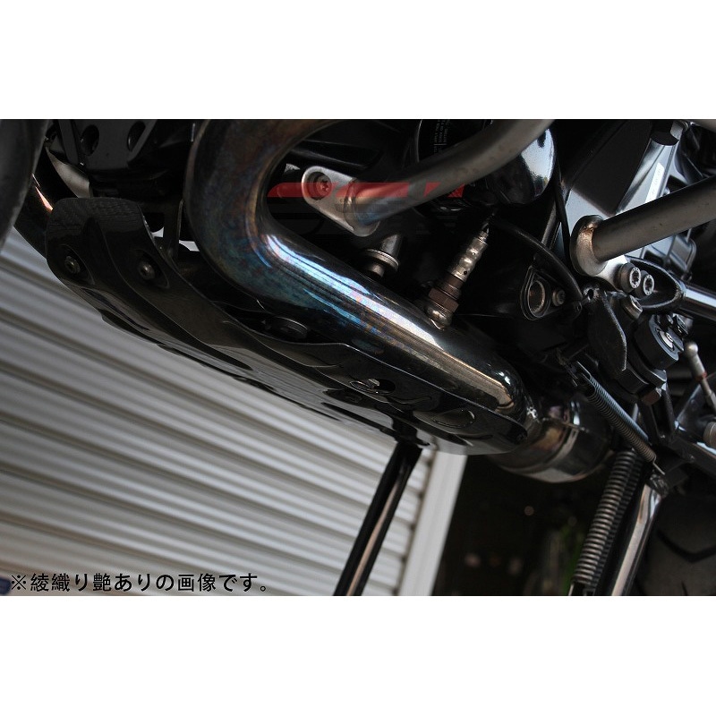 CBM0903PG アンダーガード SPEEDRA(SSK) 適合車種BMW R1200GS 2013