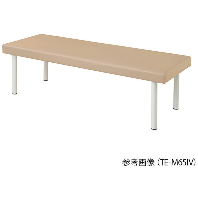 TE-L70IV カラフル診察台 ベッド高さ500mm TE-L70シリーズ 1台 プロ 