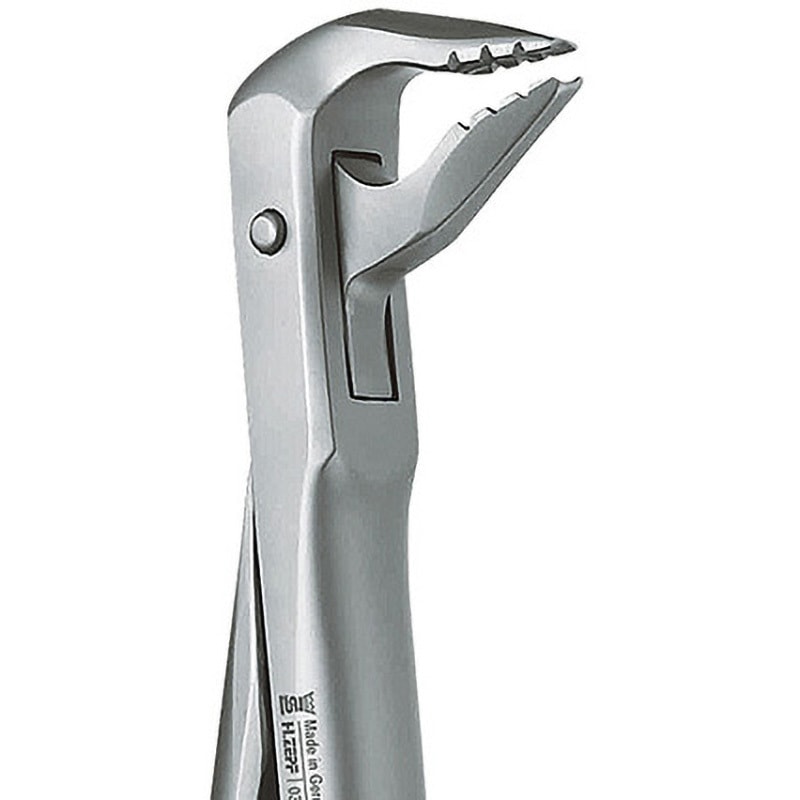h1223607z 抜歯鉗子 ROBA マイクロテック ステンレス製 下顎用   h1223607z