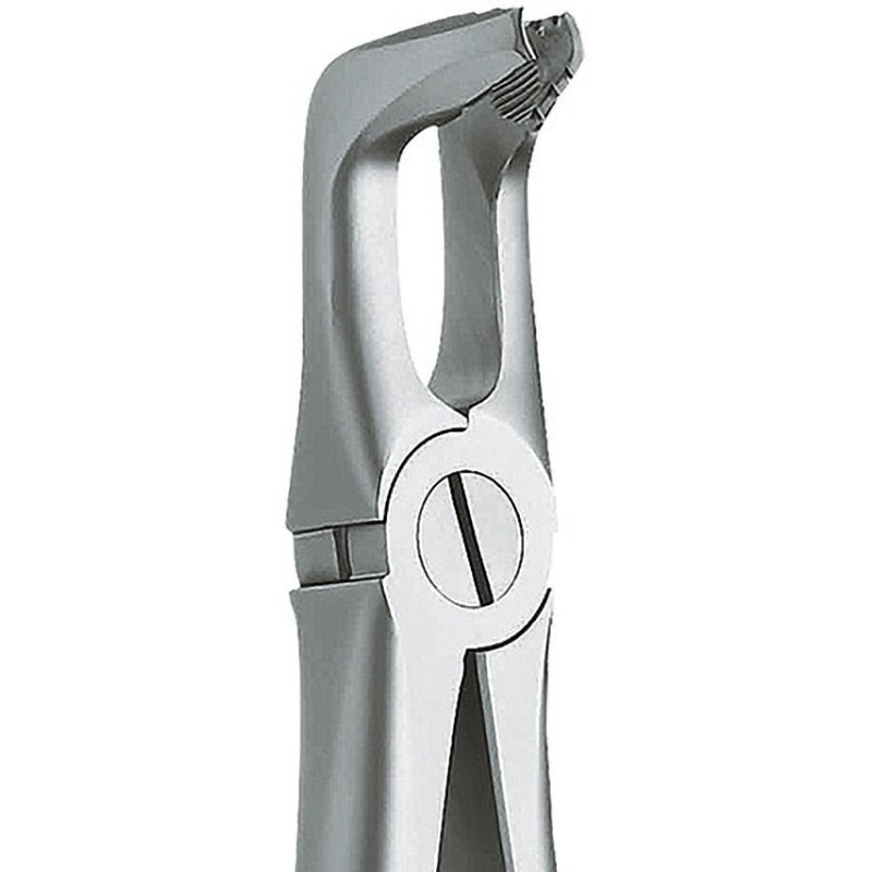 h1227990z 抜歯鉗子 ROBA マイクロテック ステンレス製 下顎用