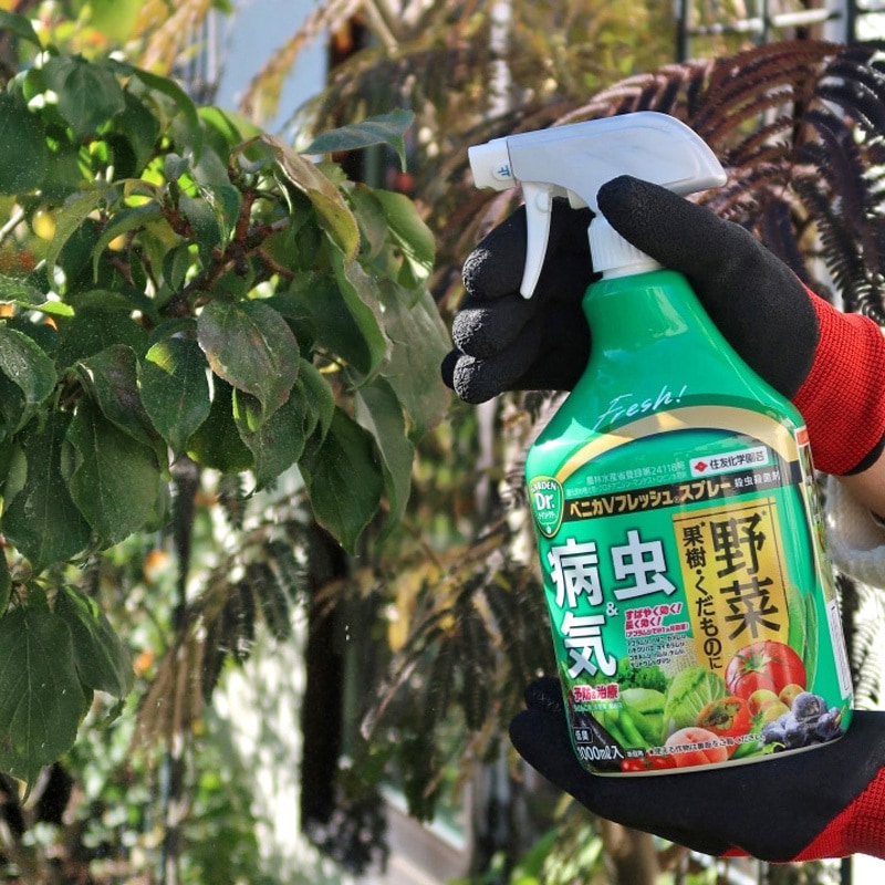 ベニカVフレッシュスプレー 1個(1000mL) KINCHO園芸(旧:住友化学園芸