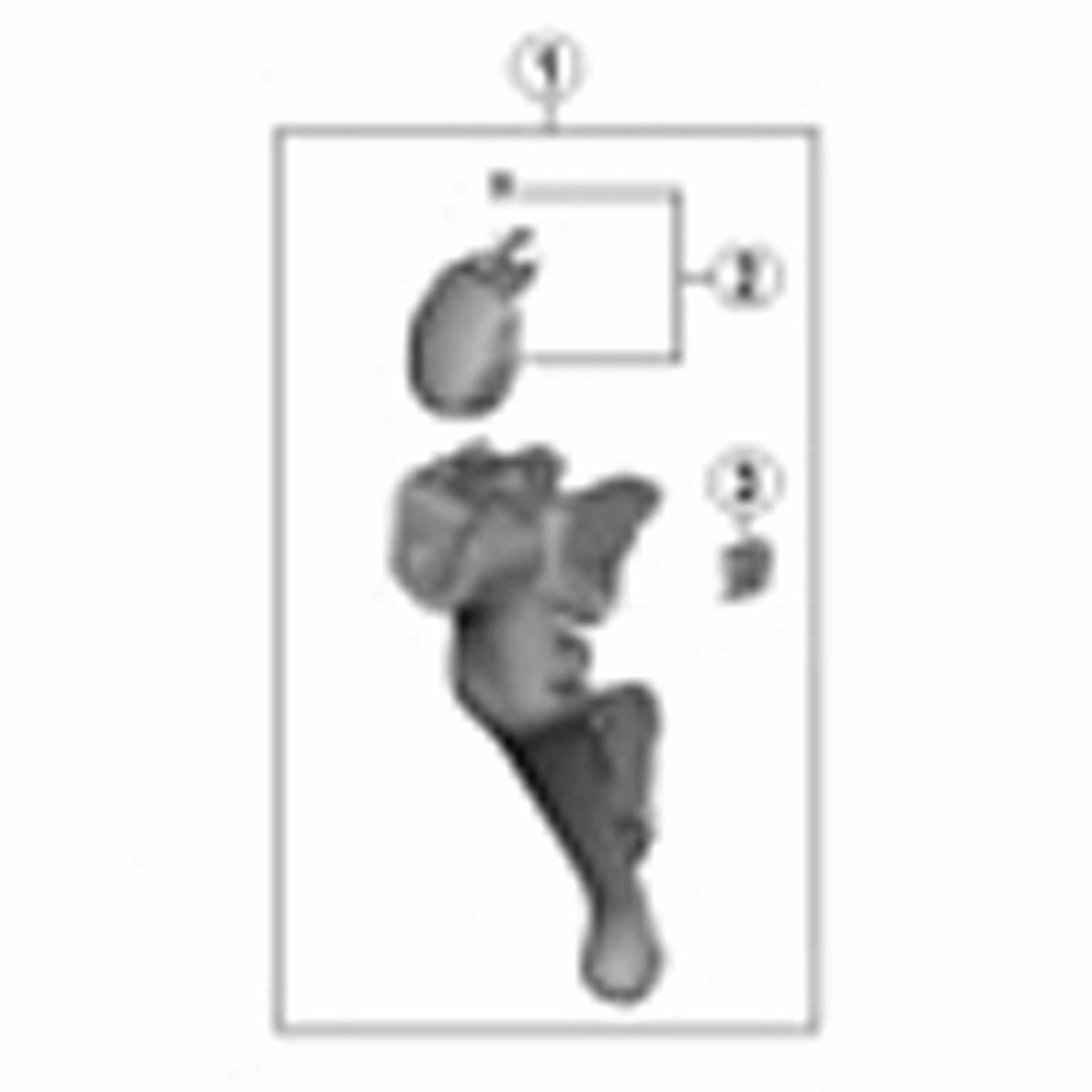 Y8ZG98020 ST-R7000右メインレバー組シルバー 1個 SHIMANO(シマノ