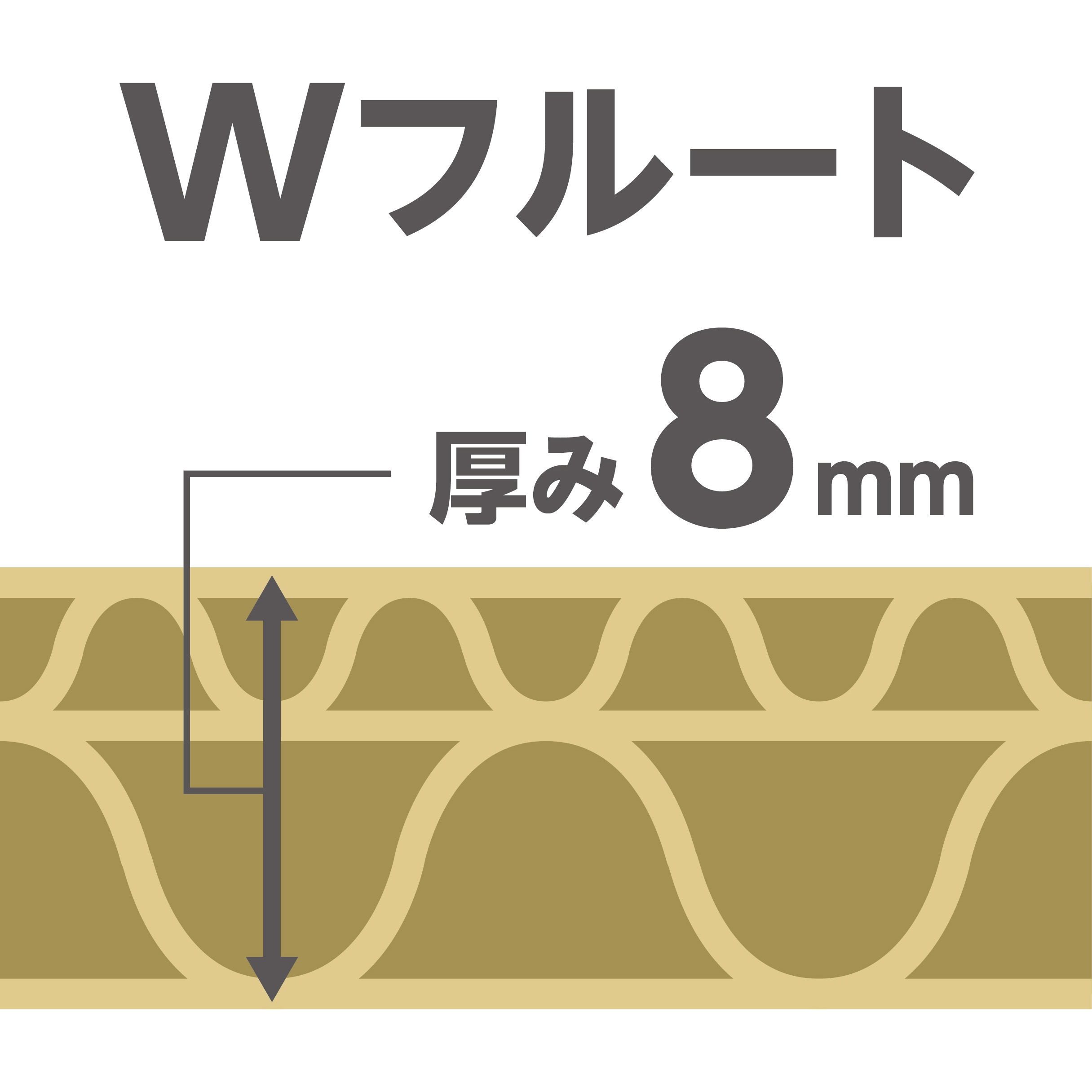 マンボウ標本箱A3こげ茶2個、A4茶2個 箔 まめざら 2枚用木箱 | toumei online store