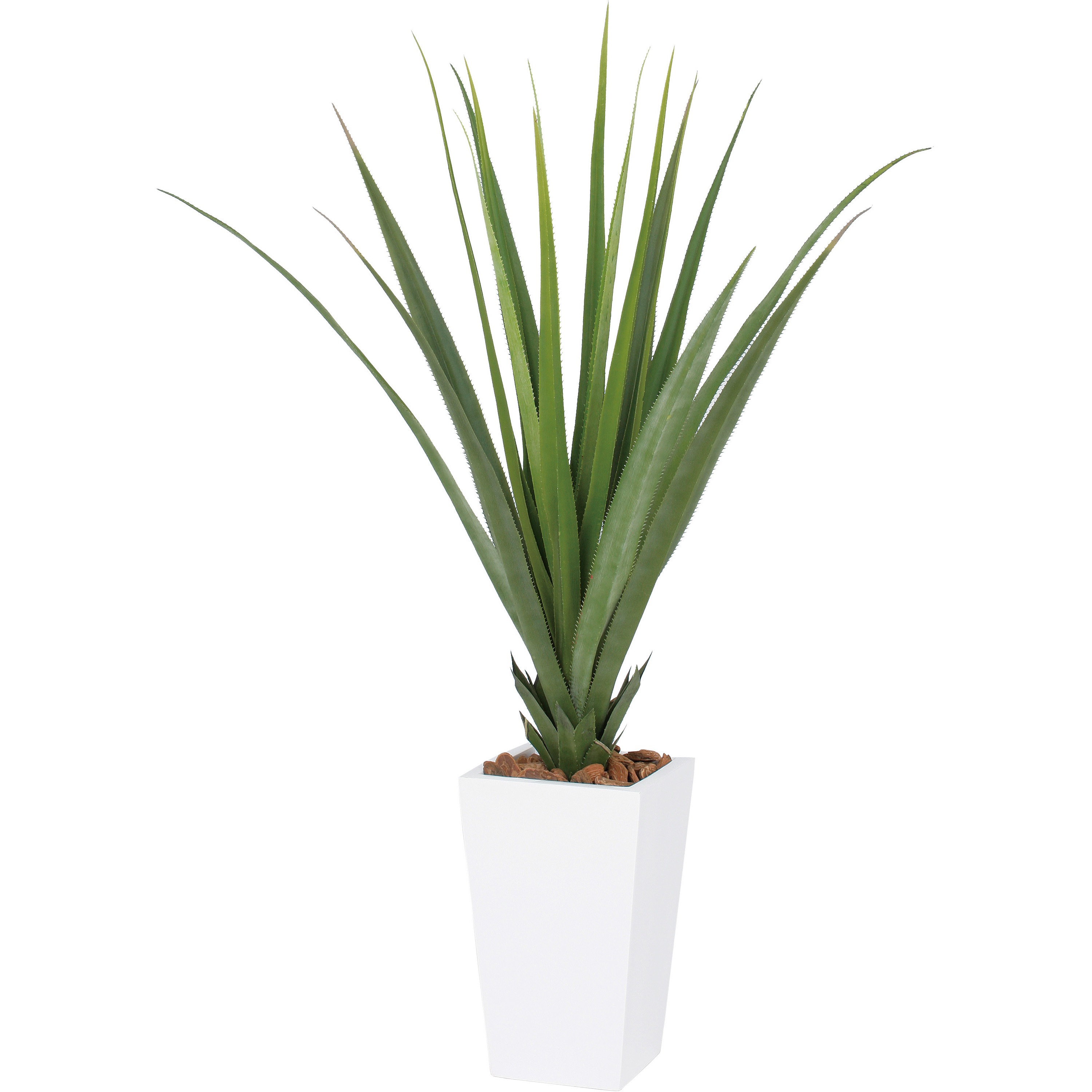 GD-182 パンダナス 鉢付 1本 タカショー 【通販モノタロウ】