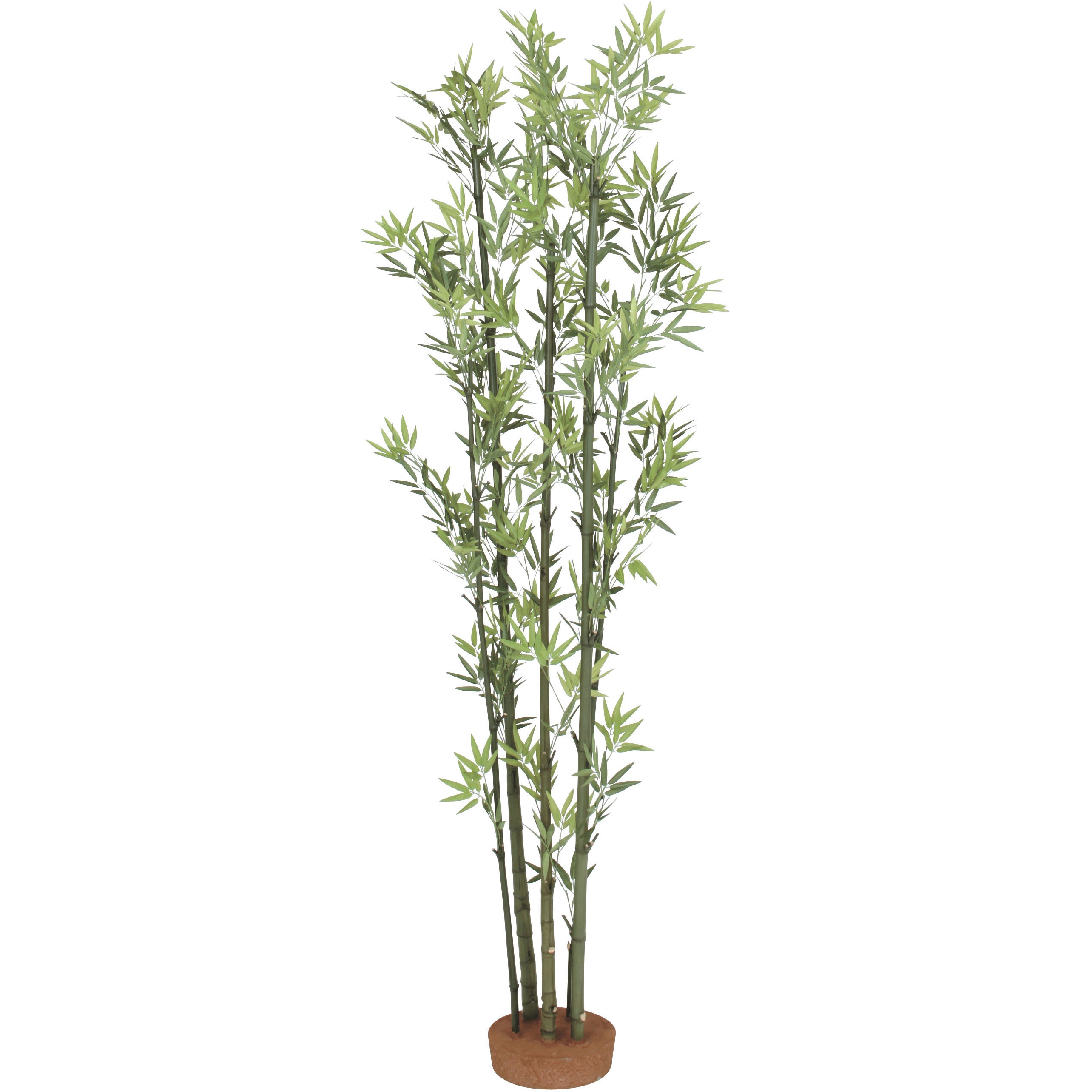 GD-51L 青竹5本立 鉢無 1本 タカショー 【通販モノタロウ】