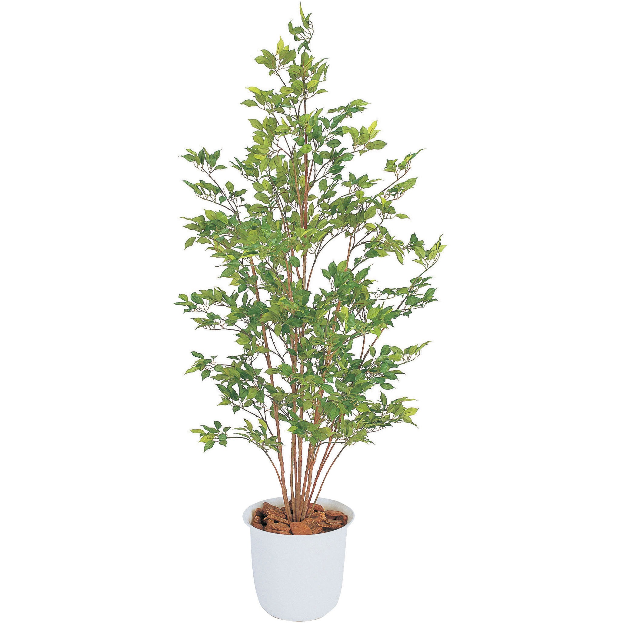光触媒 人工観葉植物 フェイクグリーン フィカスベンジャミン 1.2m 