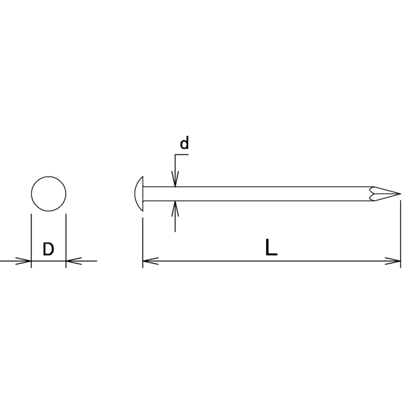 10175382 ステンレス釘 丸頭 1袋(200g) ダイドーハント(旧:大同
