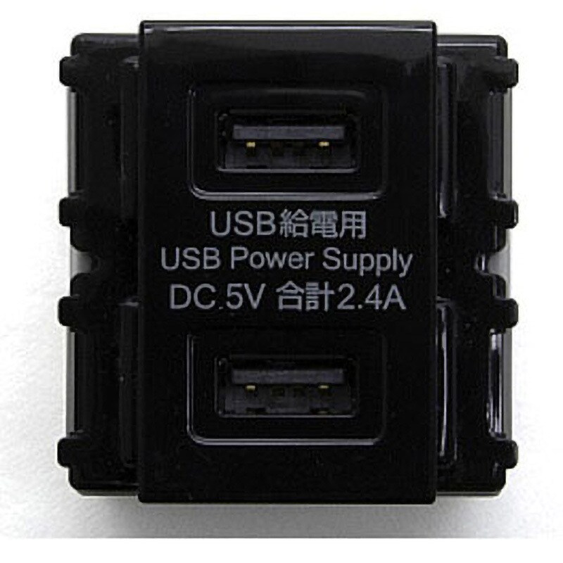 DM2-U2P2-BL 埋込充電用USBコンセント 1個 スガツネ(LAMP) 【通販