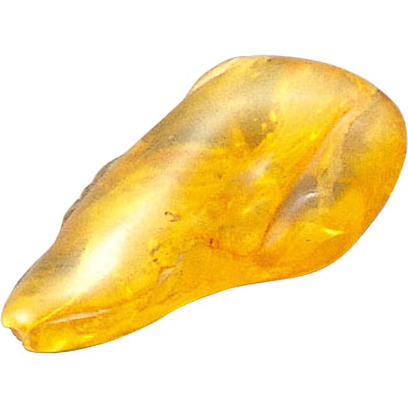 琥珀 琥珀 蛍光鉱物 琥珀 ケニス 全長20～40mm 1個 - 【通販モノタロウ】