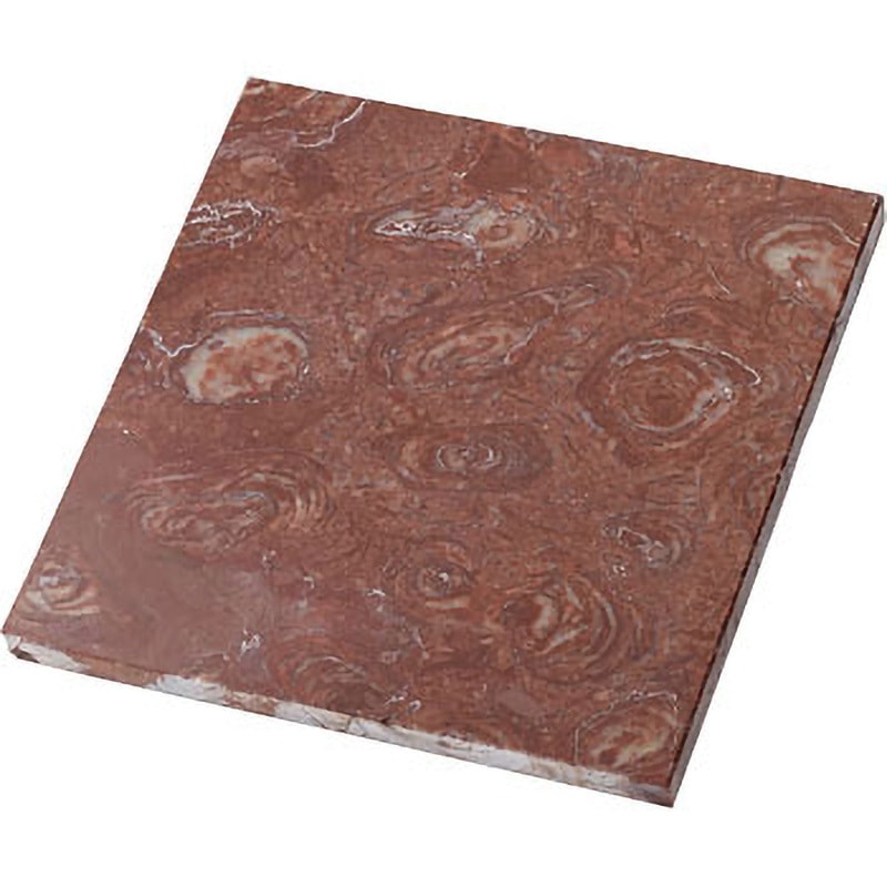 ストロマトライト(コレニア) 化石標本(動物・植物化石) ケニス 先