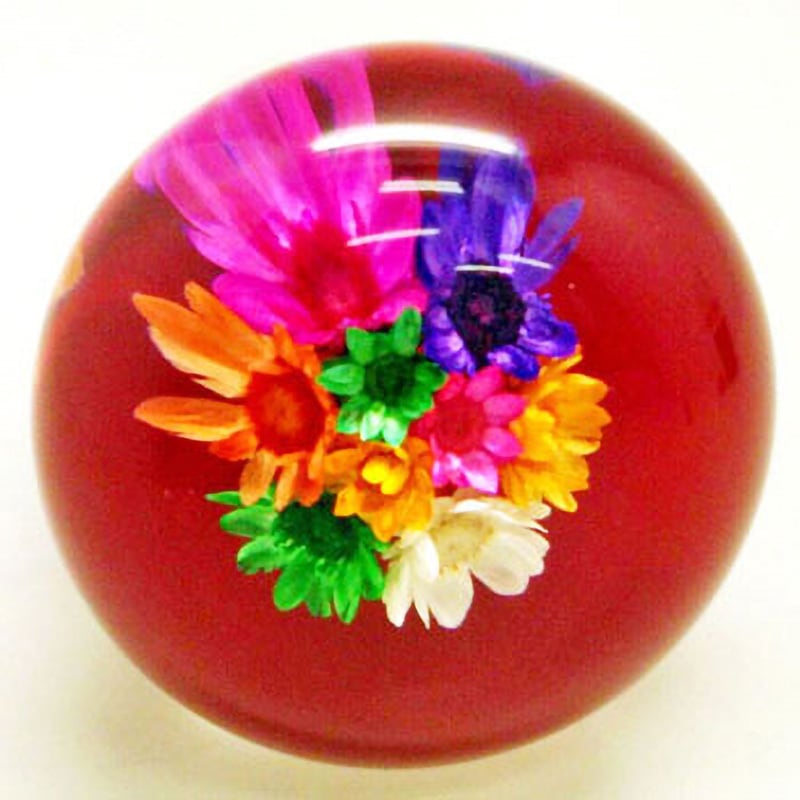 HAM⭐︎】【グローブは未使用】フレキシア セルクリスタル一式 2025年