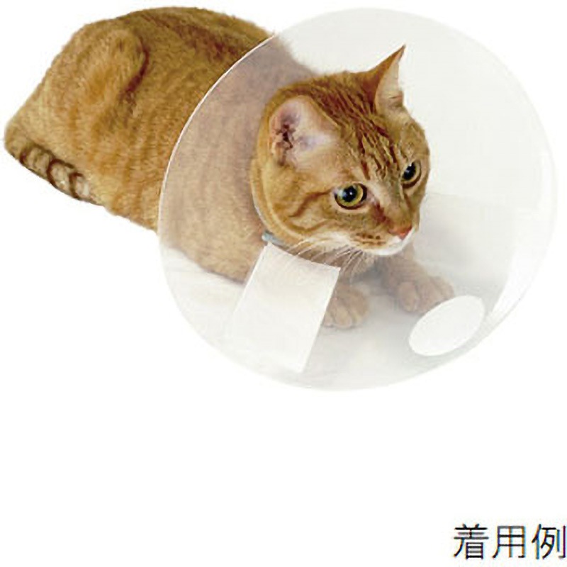 すぐテープ アニマルネッカー Cat-Lサイズ 5枚セット 1セット(5枚) 東京メニックス 【通販モノタロウ】