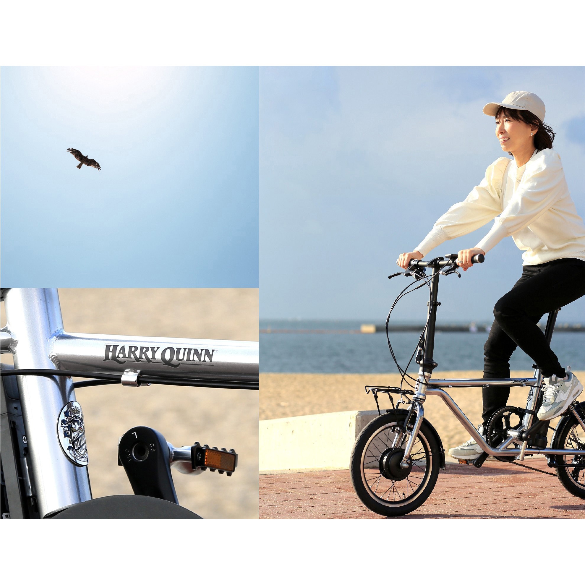 LIVERPOOL163E-OL Harry Quinn LIVERPOOL163E GIC[自転車用品] 外装3段