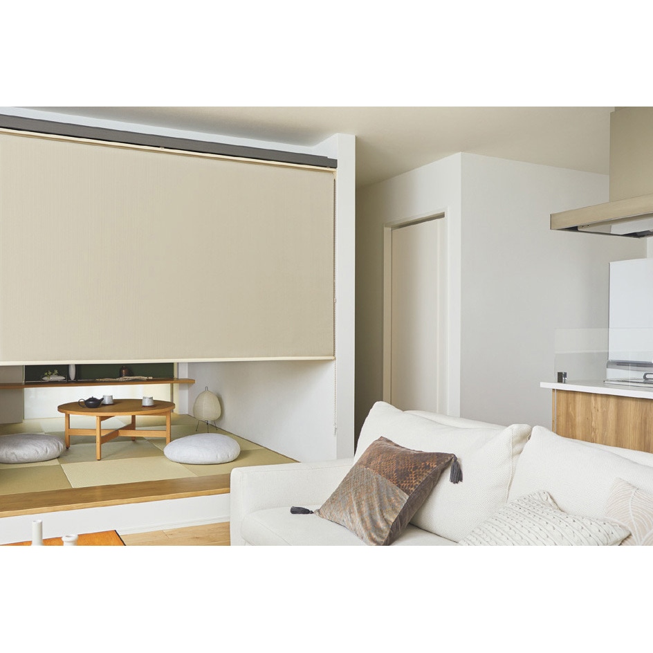 ロールスクリーン タチカワブラインド ラルクシールド w165×h110 左