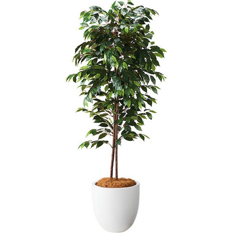 AG611RP-WH 人工樹木 ナイキ ホワイト色 奥行420mm  AG611RP-WH