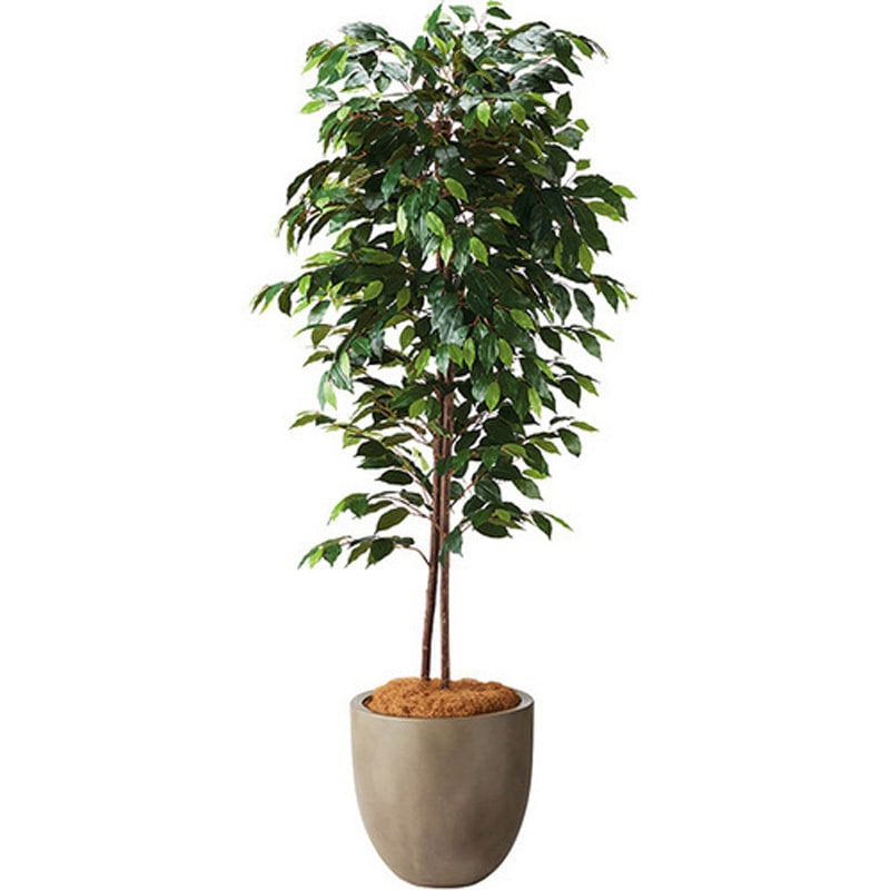 AG611RP-MGL 人工樹木 ナイキ ミディアムグレー色 奥行420mm  AG611RP-MGLオフィスインテリア