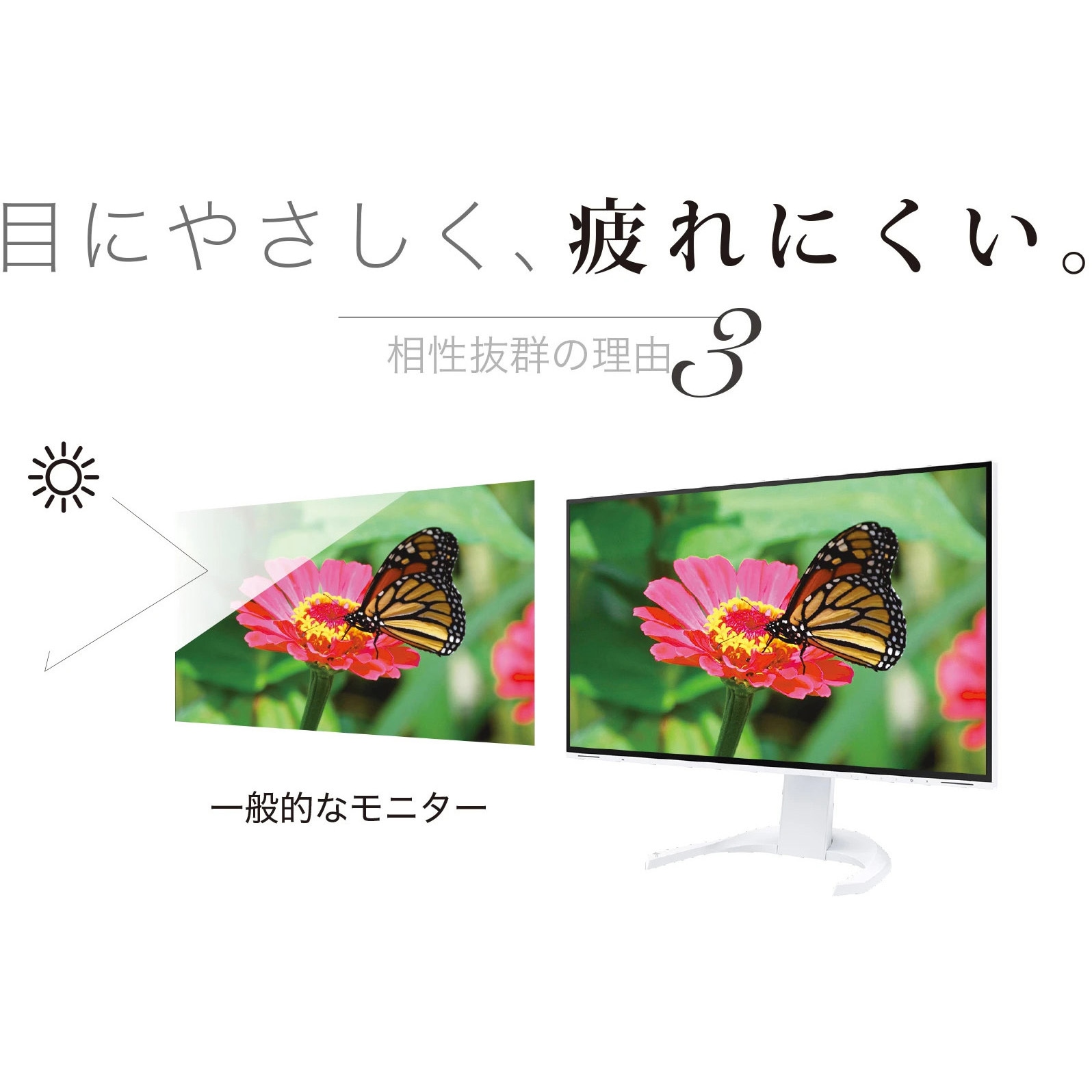 EV3240X-BK 31.5型液晶モニター FlexScan EV3240X (4K/USB Type-C