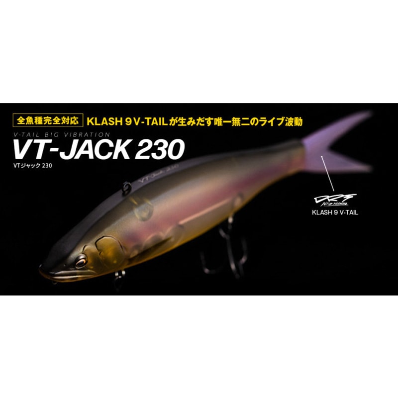 11 スーパーチャート VTジャック230 ローフローティング フィッシュ