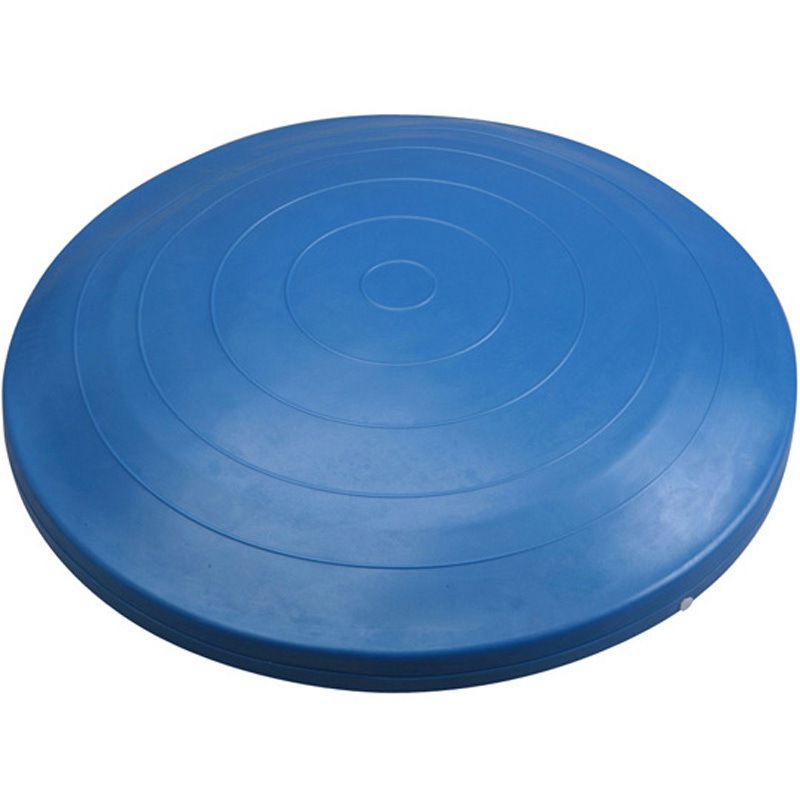 DK800 バランスディスク ビッグ 秦運動具工業 (HATAS) PVC製