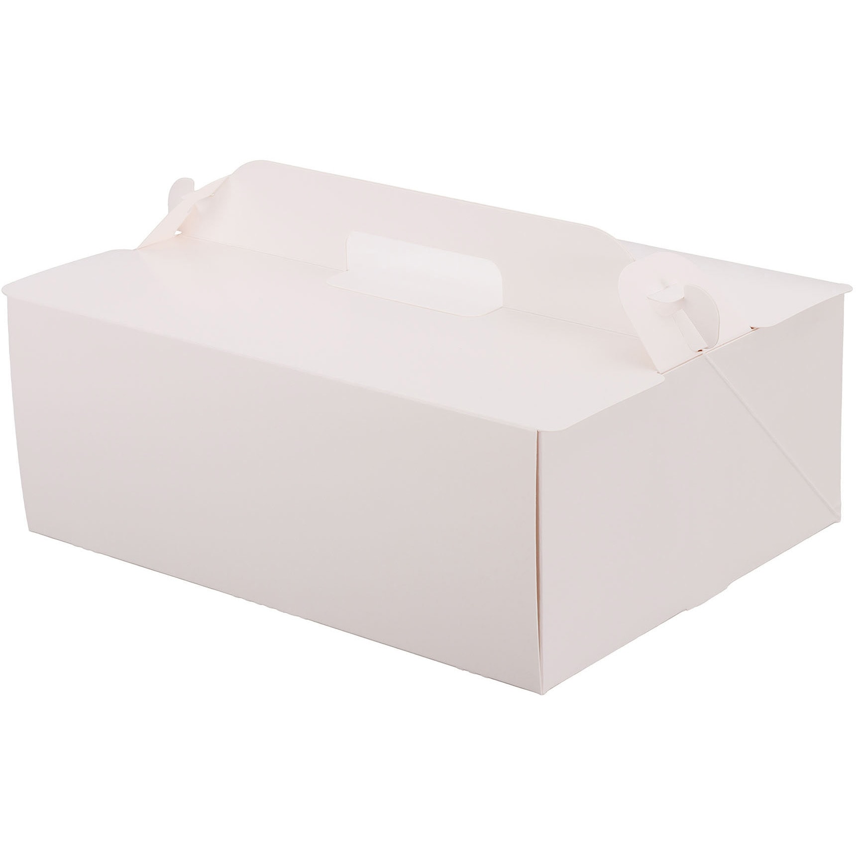 A43160 105 OPL 1箱(100枚) パッケージ中澤 【通販モノタロウ】