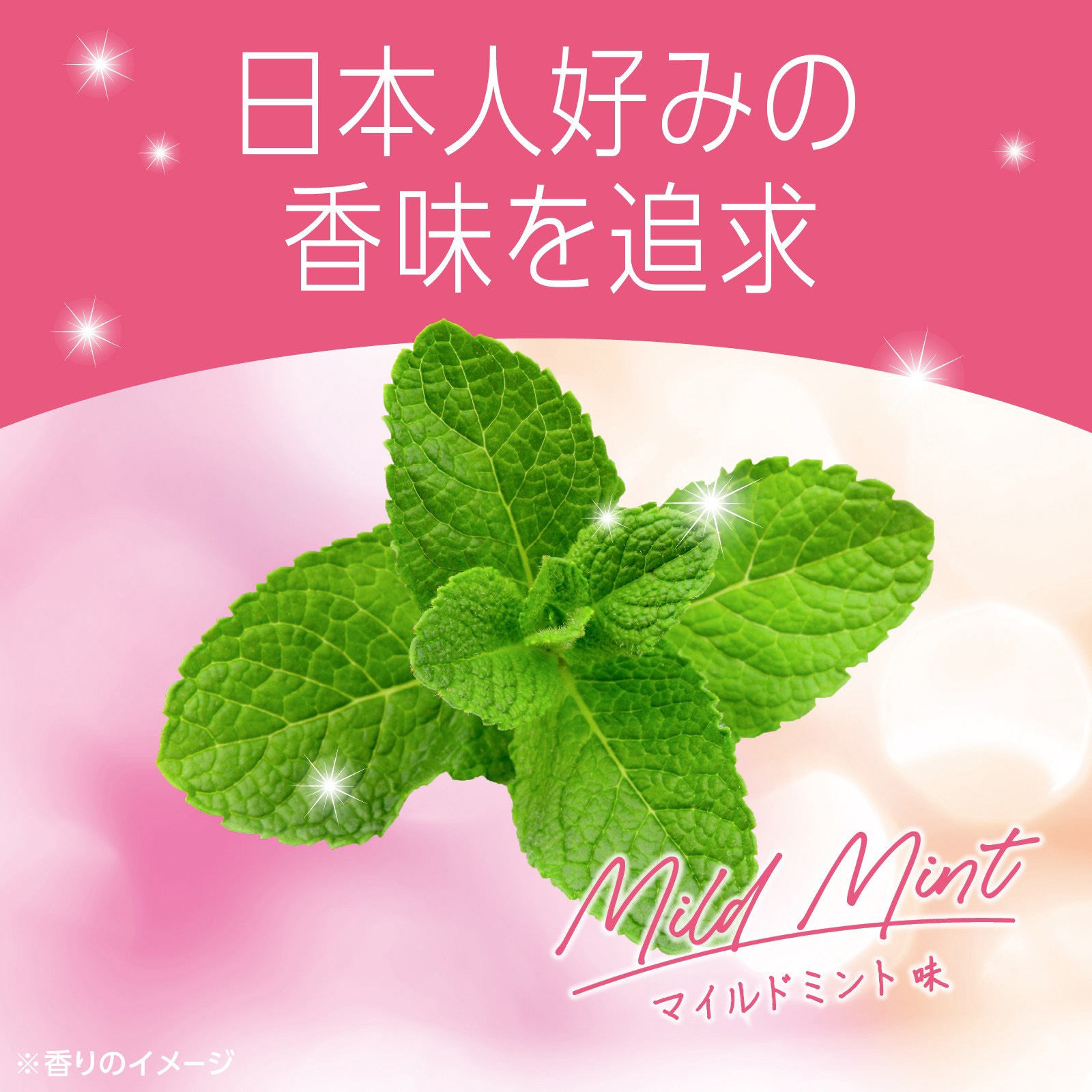 4901080247711 モンダミン マイルドミント 1本(1000mL) アース製薬