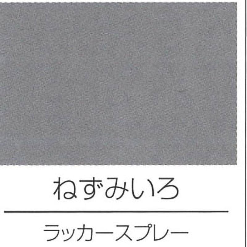H62-0805-64 ラッカースプレー(高濃度タイプ) ロックペイント