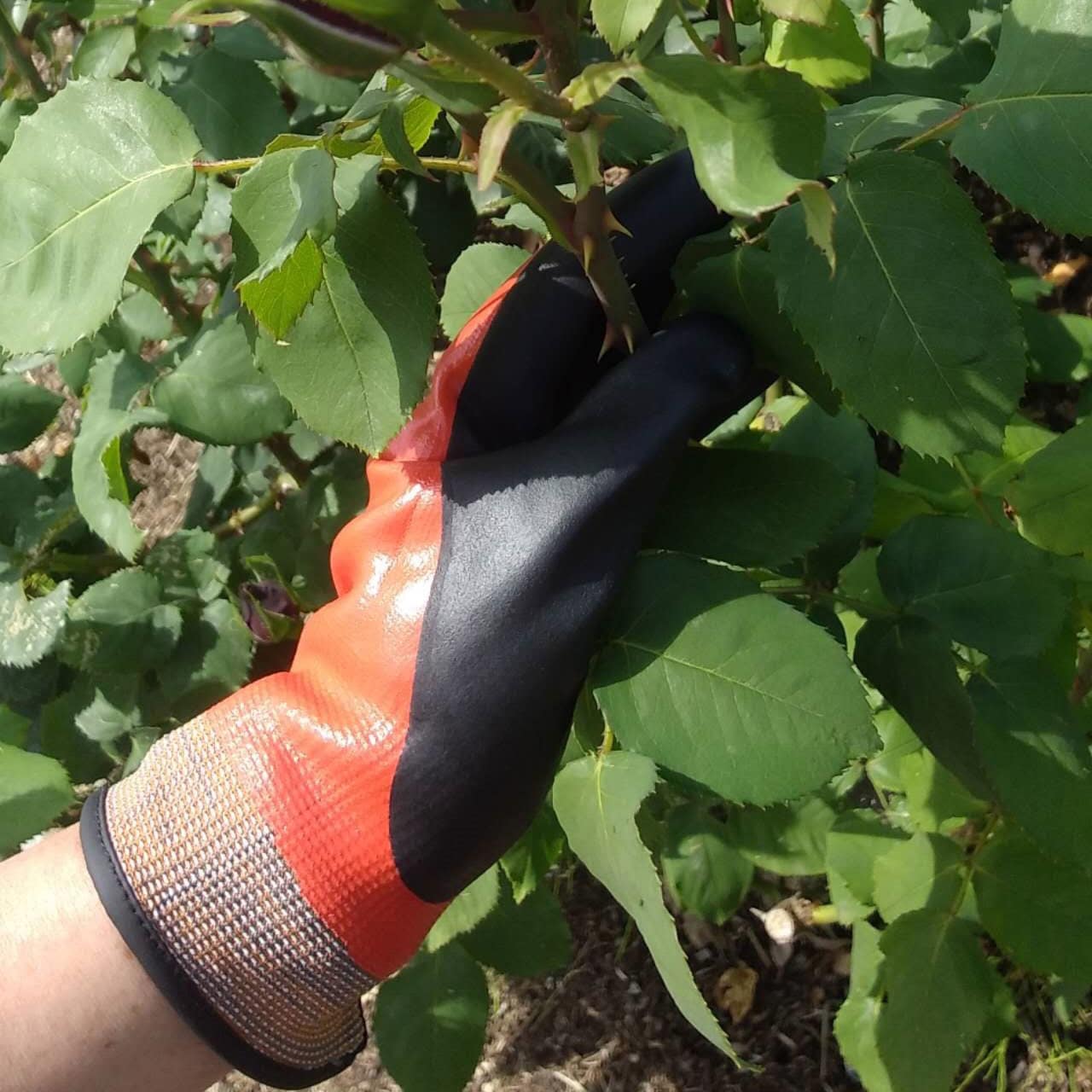 2041 とげが刺さりにくい耐切創手袋 Star Field(星野商店) アカ色