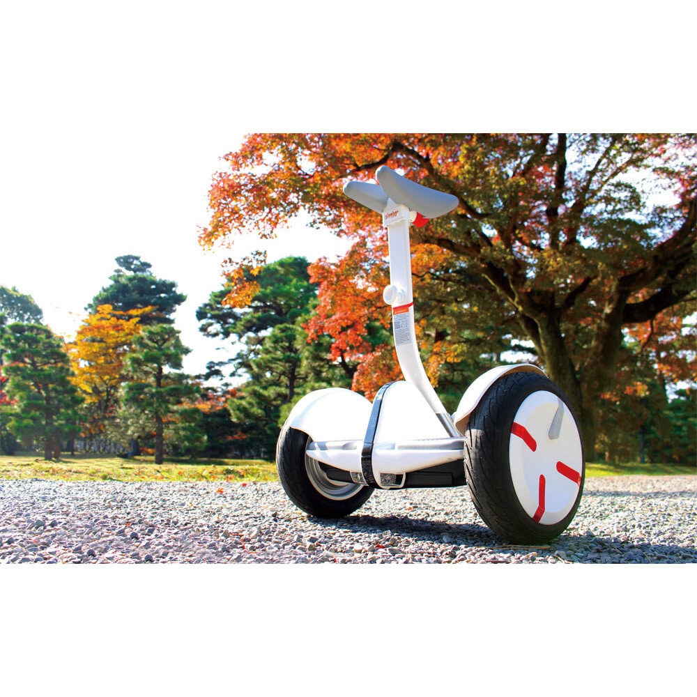 46940 Ninebot S-Pro 1台 Segway-Ninebot (セグウェイナインボット) 【通販モノタロウ】