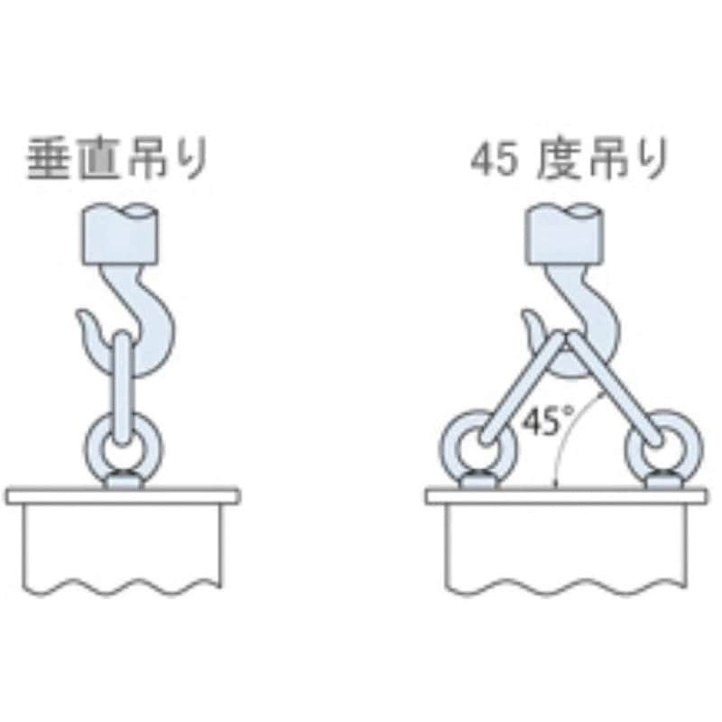 IB-12 アイボルト ステンレス AIOULE(ふじわら) ねじ径M12