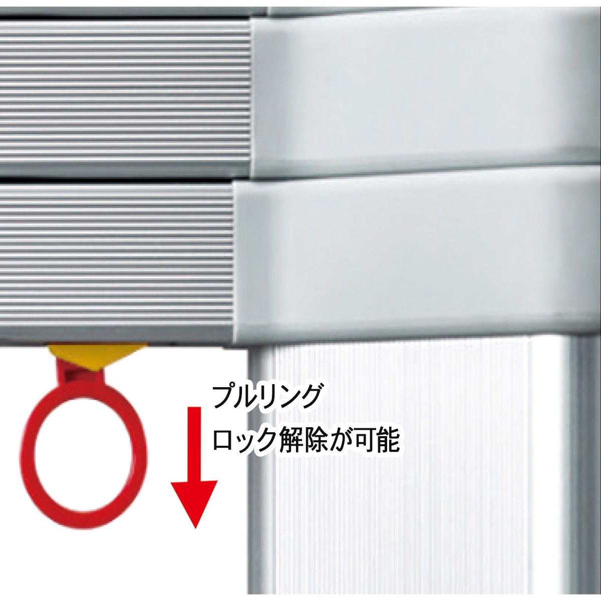 LS-39 コンパクト1連はしご skyladder 長谷川工業 全長3.89m LS