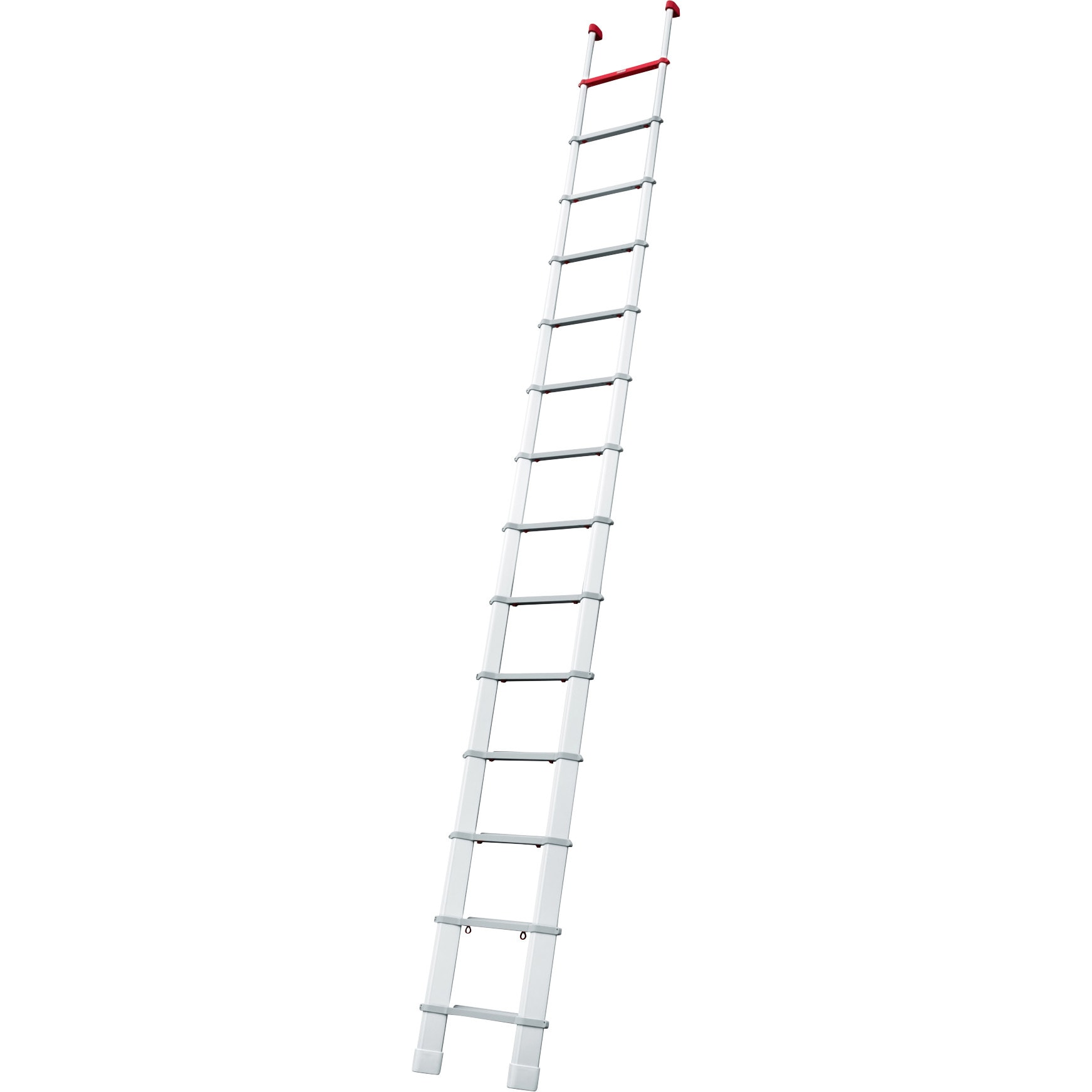 LS-49 コンパクト1連はしご skyladder 長谷川工業 全長4.88m LS