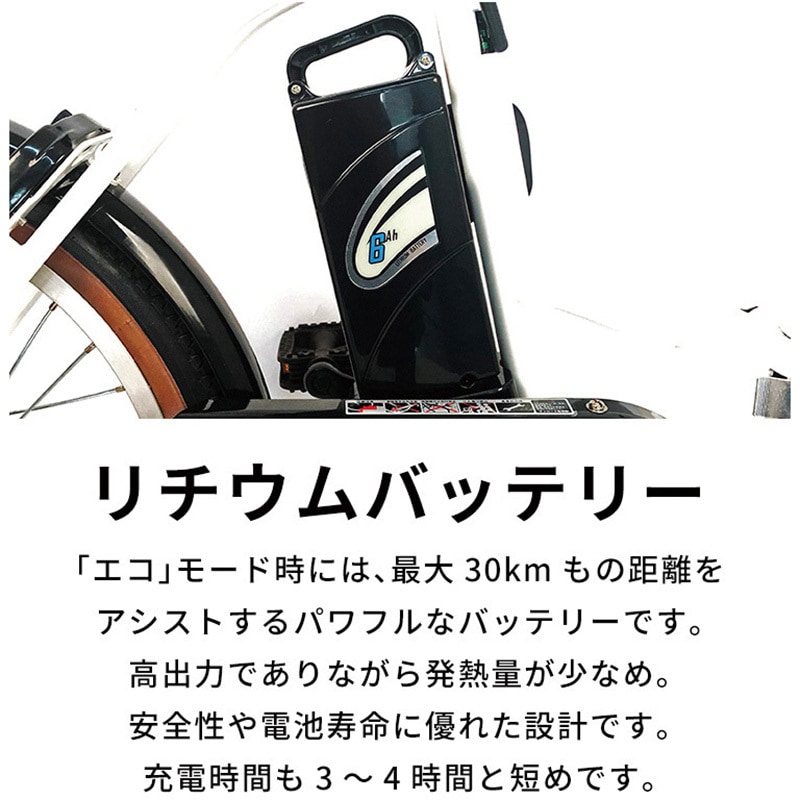 TDN-208L-BL 折り畳み電動アシスト自転車 TDN-208L【簡易組立必要】 PELTECH(ペルテック) バッテリー容量6Ah タイヤサイズ 20インチ - 【通販モノタロウ】