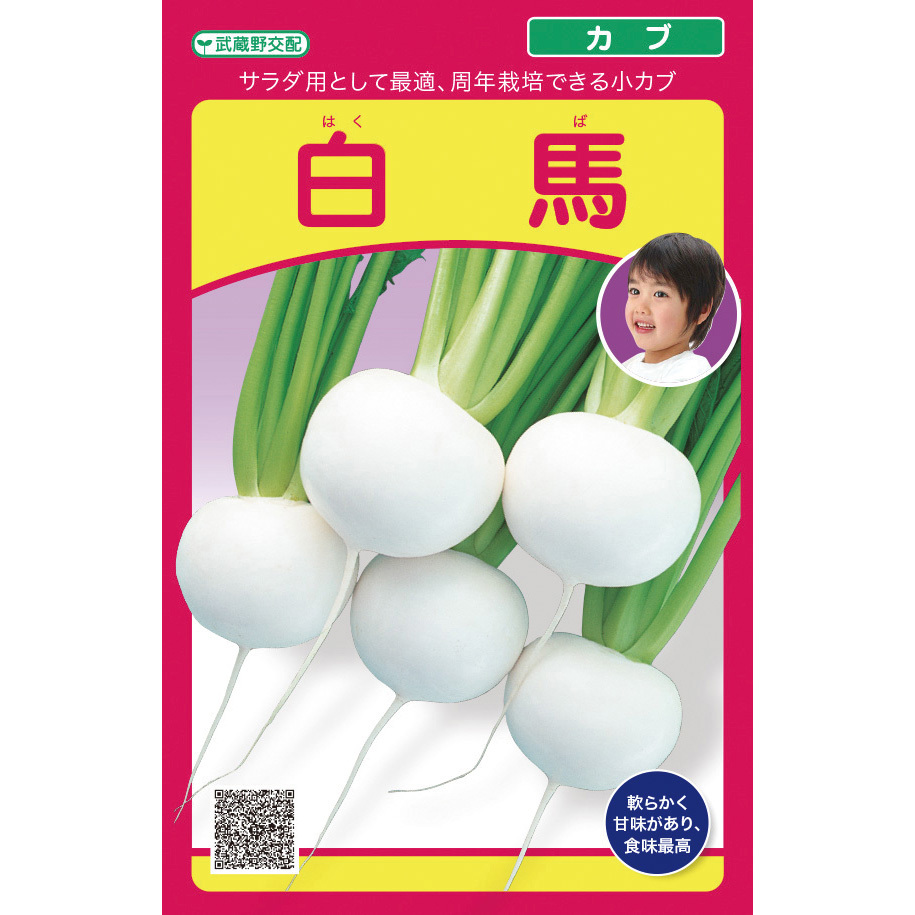 送料込み　白馬 白馬(コカブ) 1セット(20mL×10個) 武蔵野種苗園 【通販モノタロウ】