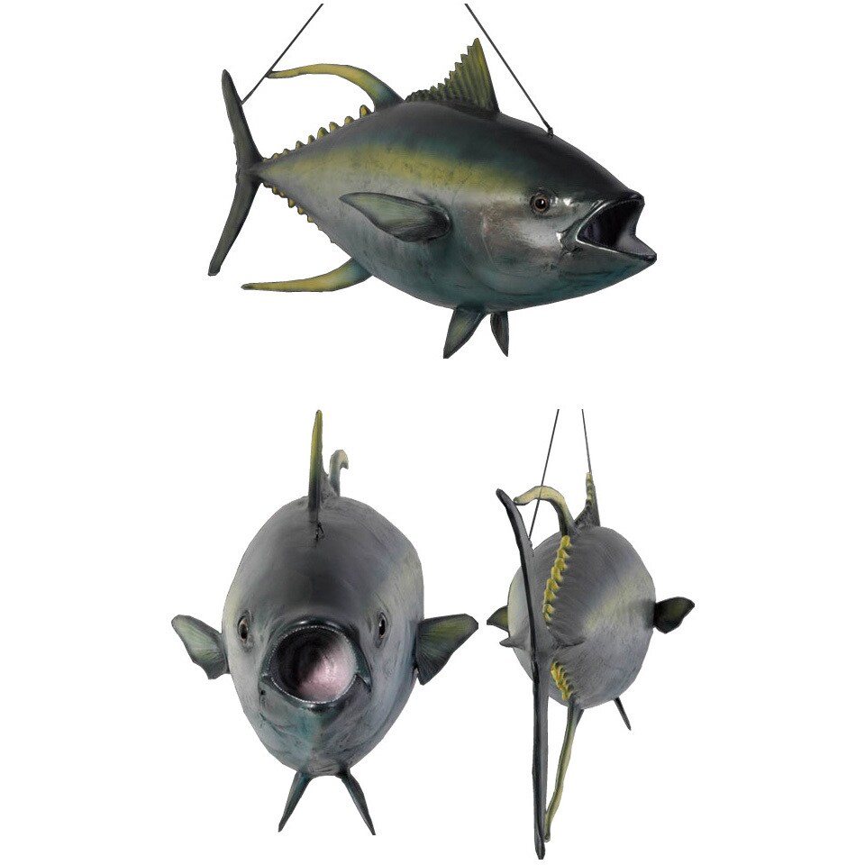 fr100076 キハダマグロ(イエローフィンまぐろ) / Yellowfin Tuna 1個 Heinimex 【通販モノタロウ】