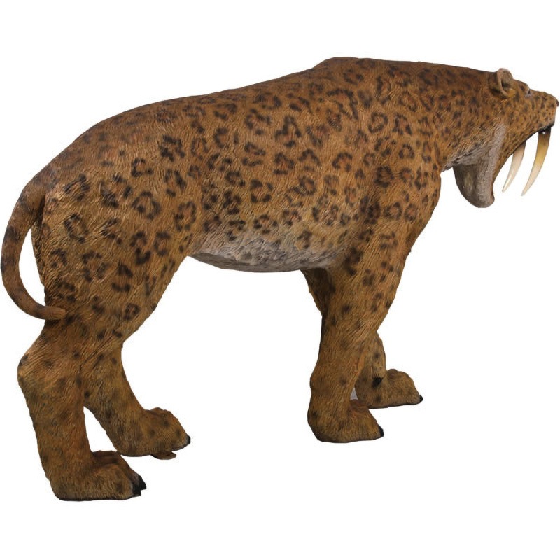 fr180148 サーベルタイガー / Smilodon - Saber-toothed Cat 1個