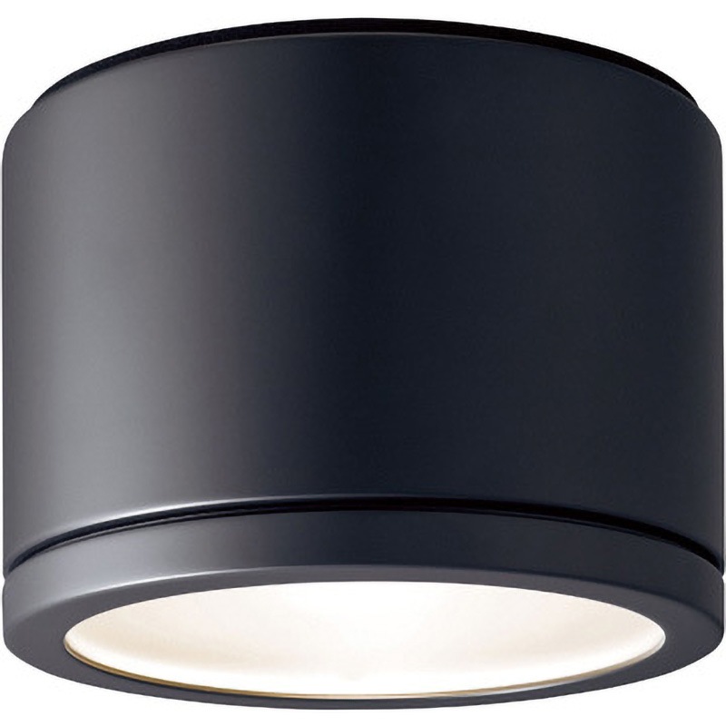 NNN53820B LED電球軒下用シーリング Panasonic(パナソニック) AC100V 直径212mm  NNN53820B