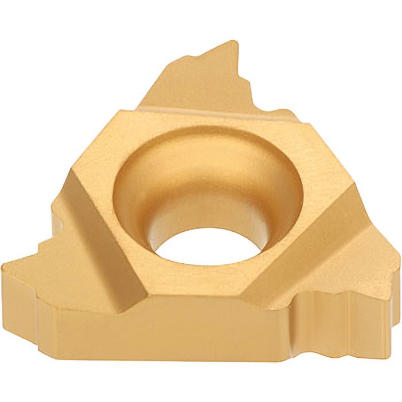 16ER20ISO T313V チップ ER/L-ISO タンガロイ T313V製 1箱(5個