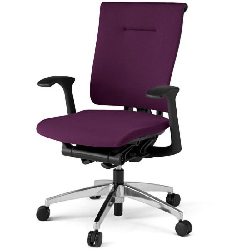 KF-585GS-ZTX7 セレーオチェアクロス＜配送時組立サービス付＞ イトーキ ハイバック 肘掛あり スタンダードタイプ   KF-585GS-ZTX7