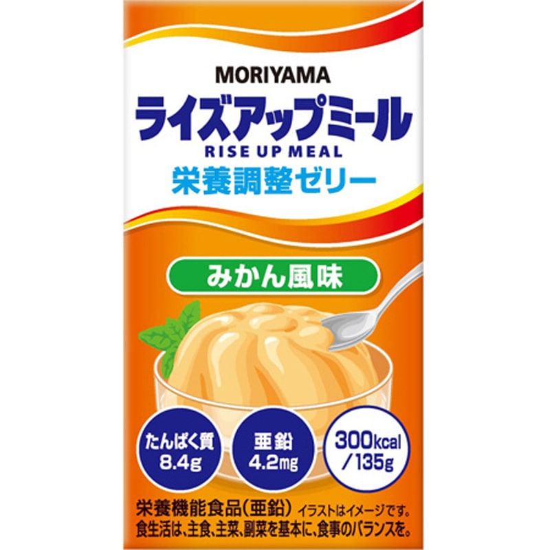 ライズアップミール 栄養調整ゼリー 1ケース(24本) 守山乳業 【通販