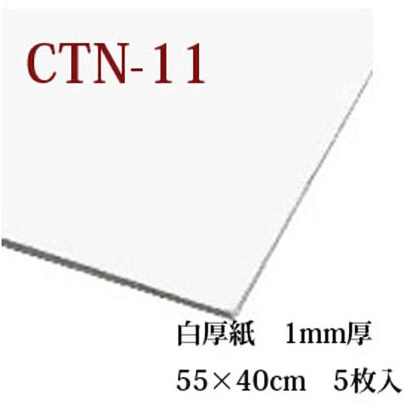CTN11-50 白厚紙 日本紐釦貿易 寸法55×40cm 1袋(50枚) CTN11-50