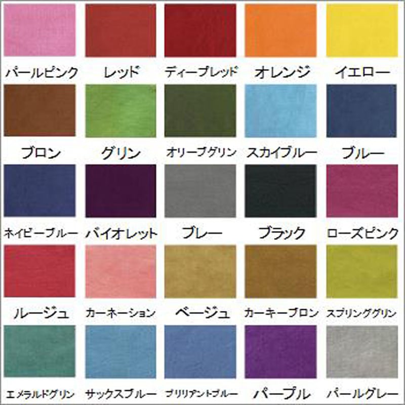 ECOA-13 染料 みやこ染め コールダイオールECO 1個 桂屋ファイングッズ