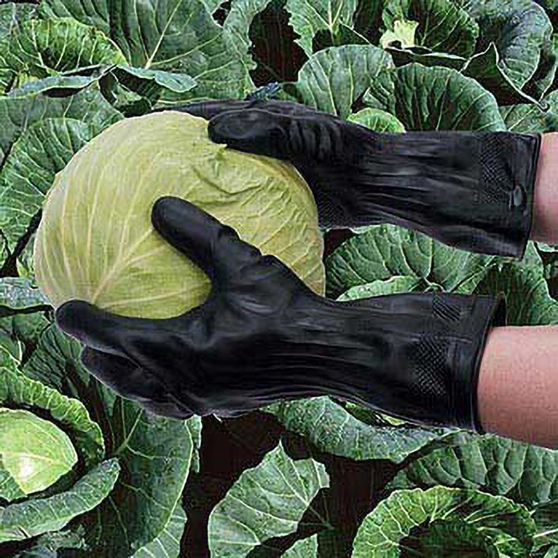 No.221 ノーテ絞型 No.221 トワロン(TOWA/東和コーポレーション