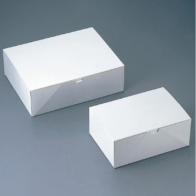 5号 洋生カートン白(100枚入) 伊藤景パック産業 内寸210×300×84mm 1個